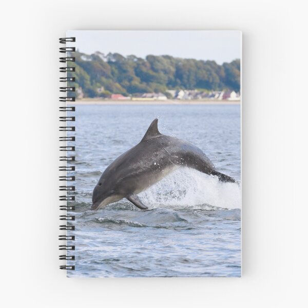 Item preview, Dolphin breaching in the sunshine designed and sold by chanonry.