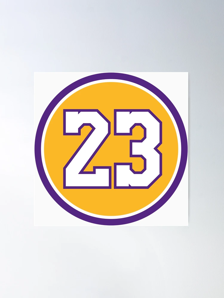 LeBron James #23 Jersey Number