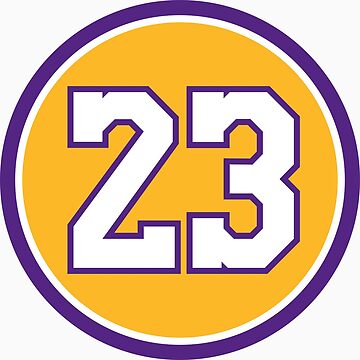 Lebron james clearance 23 logo