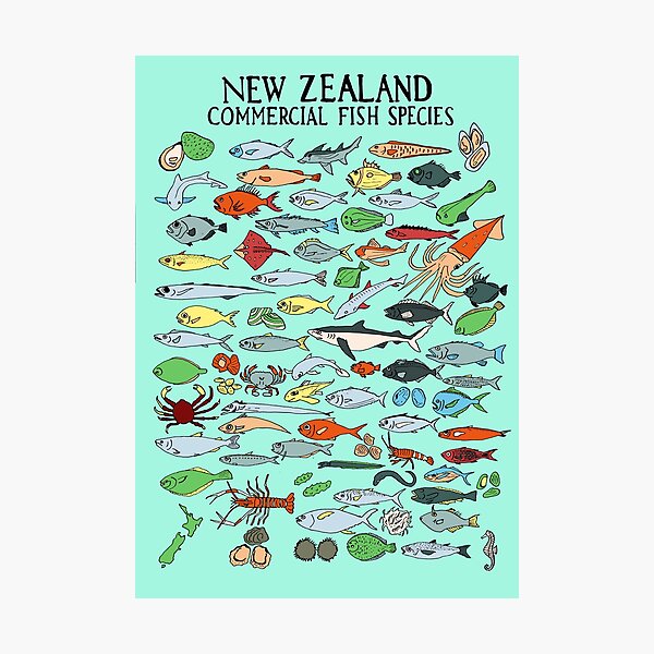 Item preview, New Zealand Fish Poster designed and sold by PicturesByOlly.