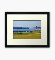Chambers Bay Tree on the Puget Sound Framed Print