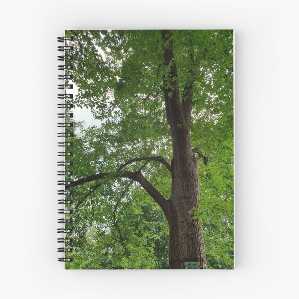 Item preview, Elm Tree Korumburra Botanic Gardens  designed and sold by Naomi80.