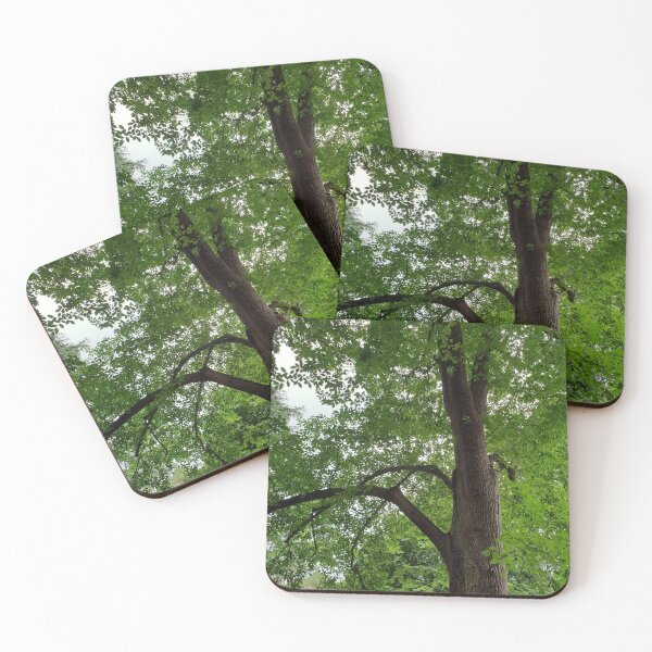 Item preview, Elm Tree Korumburra Botanic Gardens designed and sold by Naomi80.