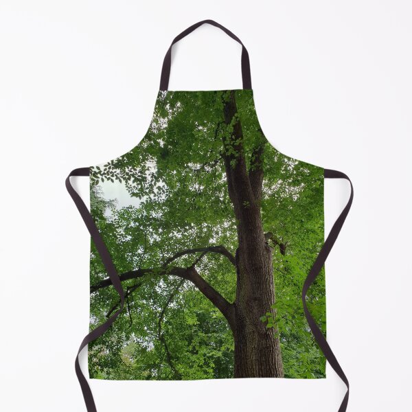 Item preview, Elm Tree Korumburra Botanic Gardens designed and sold by Naomi80.