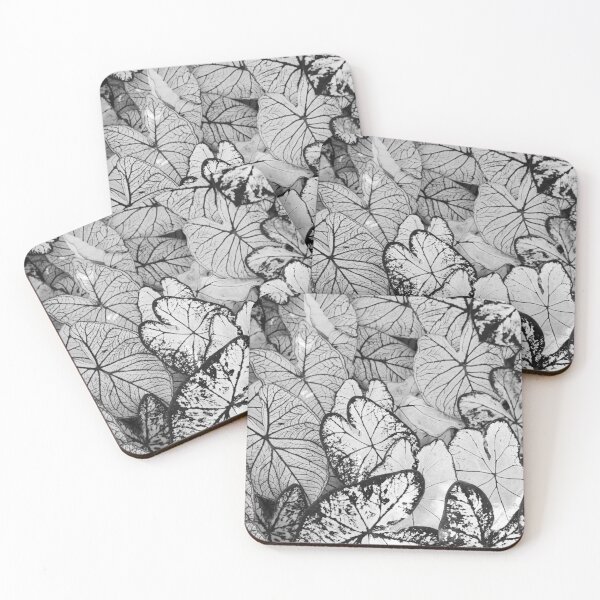 Item preview, Black and white plant artwork designed and sold by hyggekrog.