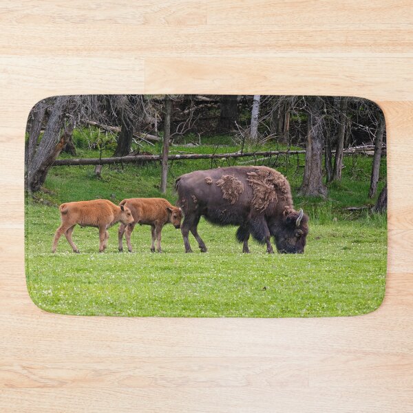 Item preview, Bison With Calves designed and sold by Michael Cummings.