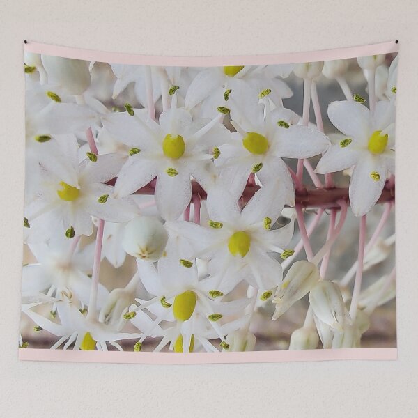 Item preview, Flower Bloom designed and sold by mltsg9.