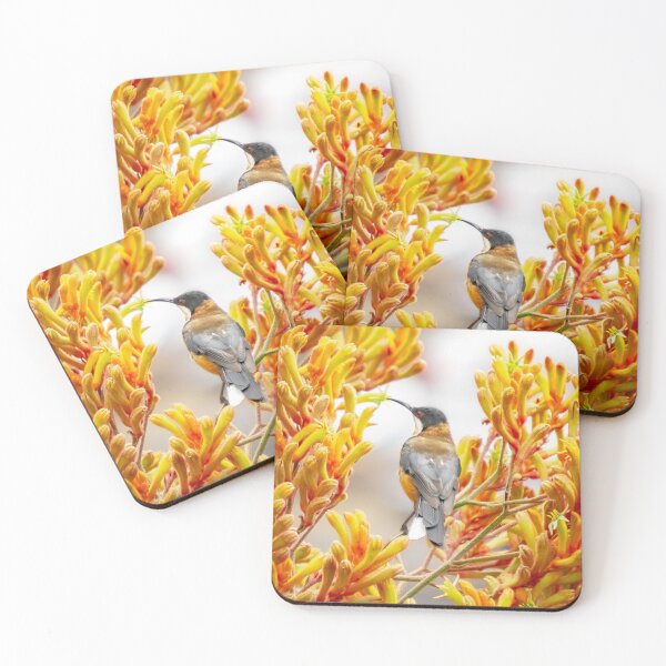 Item preview, Spinebill amongst the kangaroo paw designed and sold by Cornishinoz.