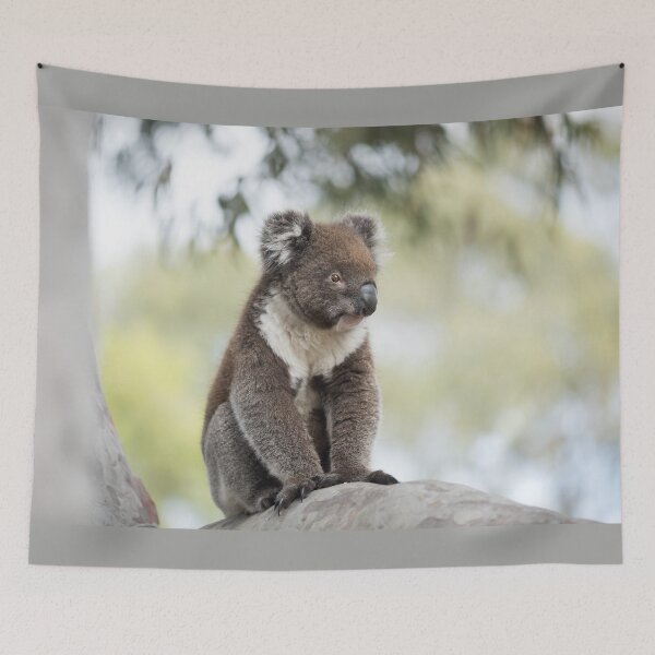Item preview, Baby Koala designed and sold by imaginethis.