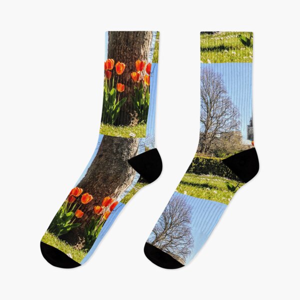 Item preview, Tulip designed and sold by Seashorepics.