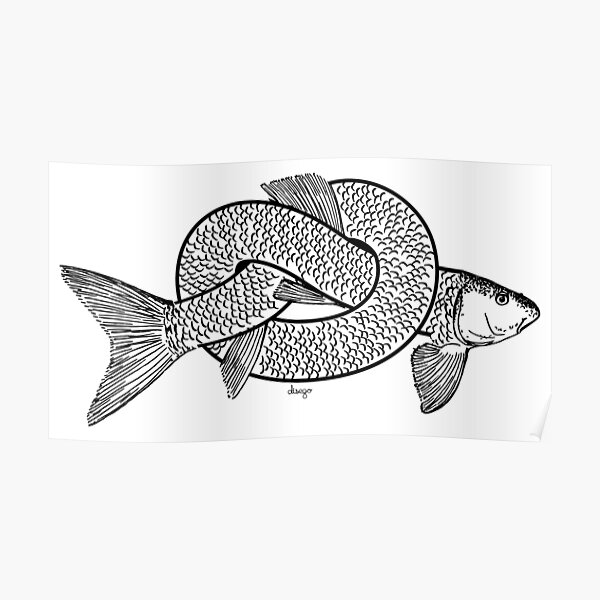 knot fish disego Poster