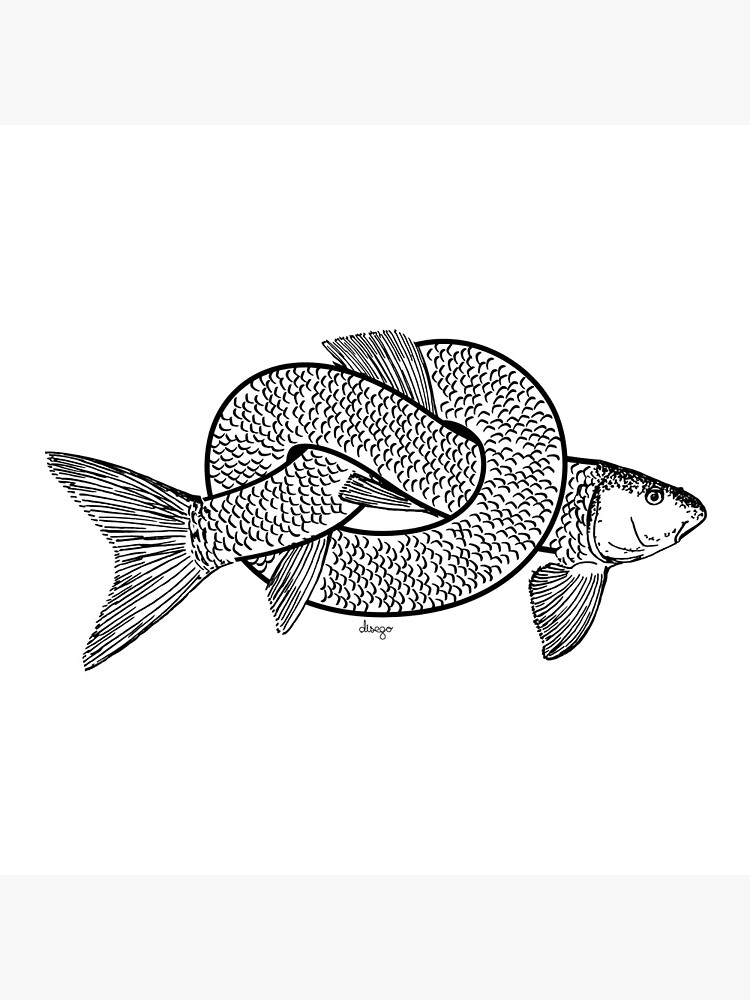 knot fish disego by disego