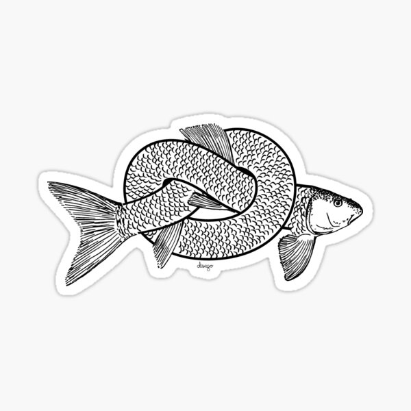 knot fish disego Sticker