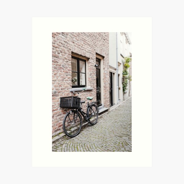Bicycle in the Netherlands, Dutch street view Art Print