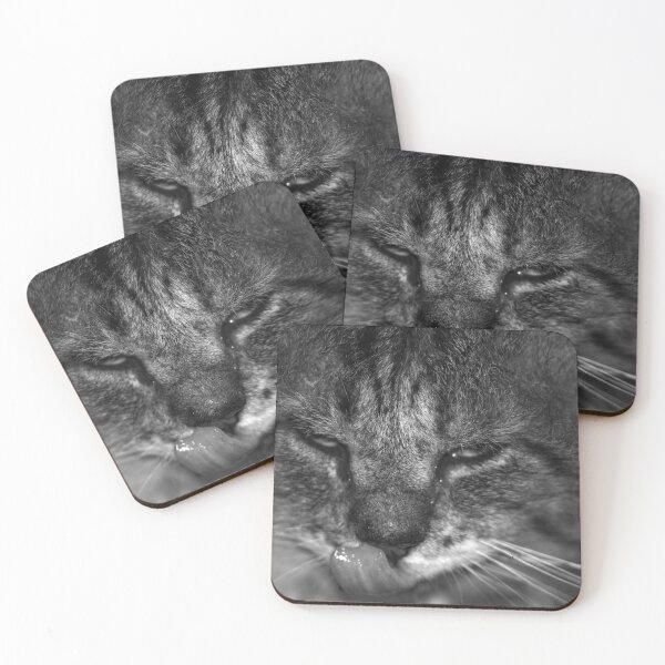 Item preview, portrait cat sticking out its tongue designed and sold by devil0035.