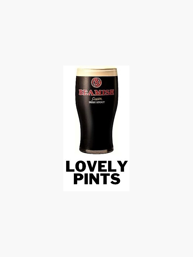 Guinness Toucan Pint Glass - Pack of 2 - A Little Irish Too