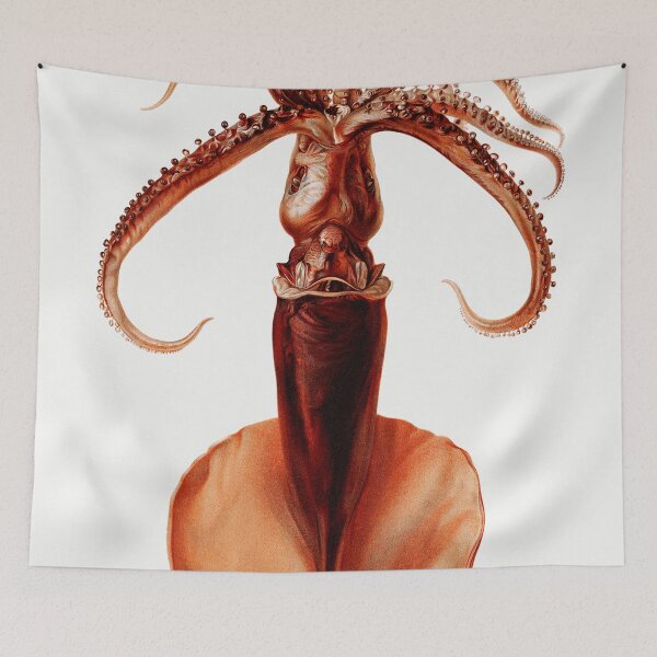 Item preview, Vintage Squid Illustration designed and sold by redoARTstore.