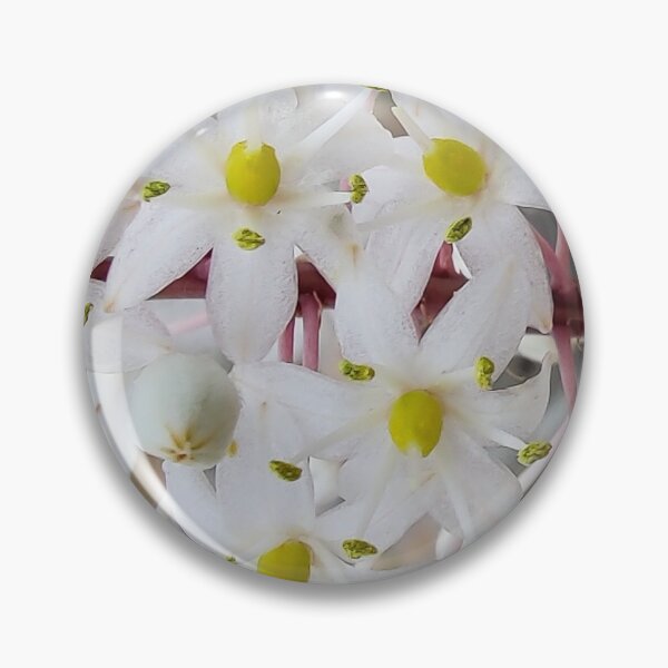 Item preview, Flower Bloom designed and sold by mltsg9.