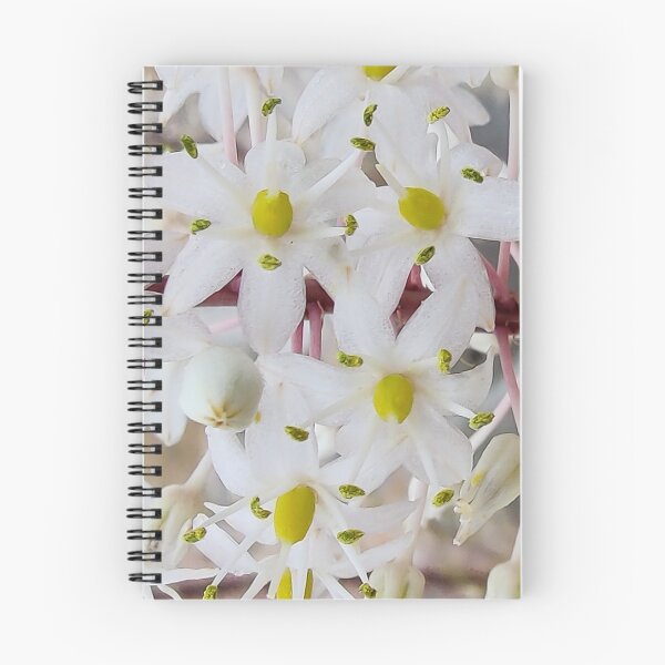 Item preview, Flower Bloom designed and sold by mltsg9.