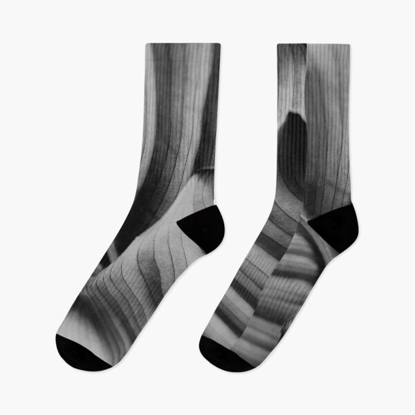 Item preview, Black and white plant artwork designed and sold by hyggekrog.