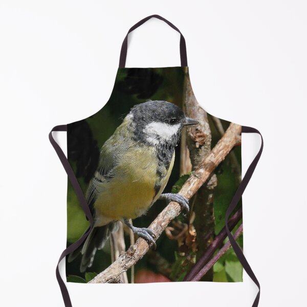 Item preview, r1436/ new finition 2021 Mésange charbonniére - 2 (c)(h) by Olao-Olavia / Okaio Créations designed and sold by o.okaïo.