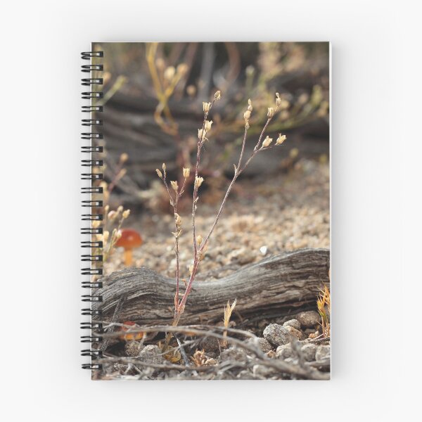 Item preview, Hello designed and sold by Steven Sullivan.