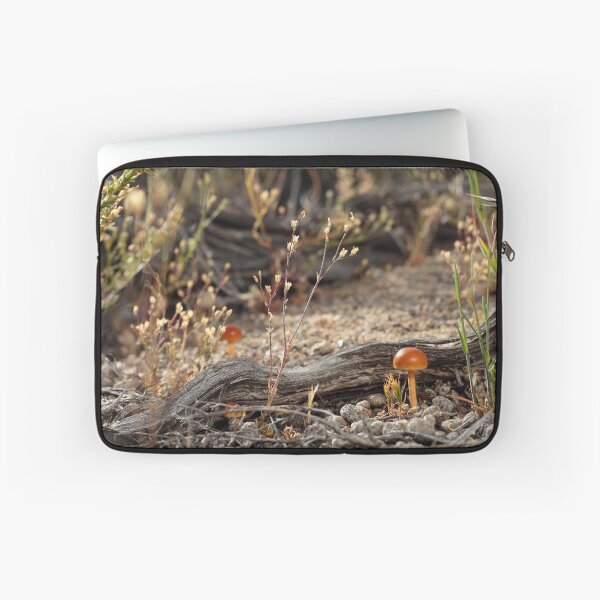 Item preview, Hello designed and sold by Steven Sullivan.