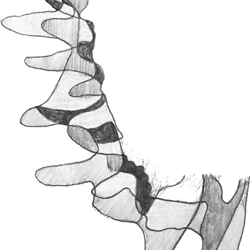 Artwork thumbnail, Shell by davidgoble