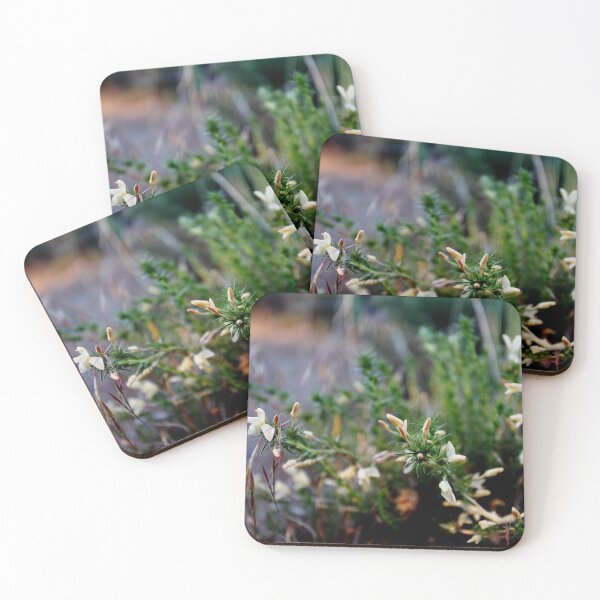 Item preview, Wild phlox designed and sold by Steven Sullivan.