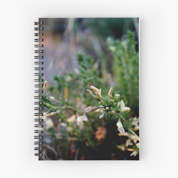 Item preview, Wild phlox designed and sold by Steven Sullivan.
