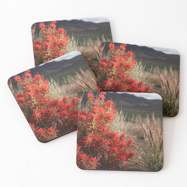 Item preview, Indian Paintbrush 4 designed and sold by Steven Sullivan.