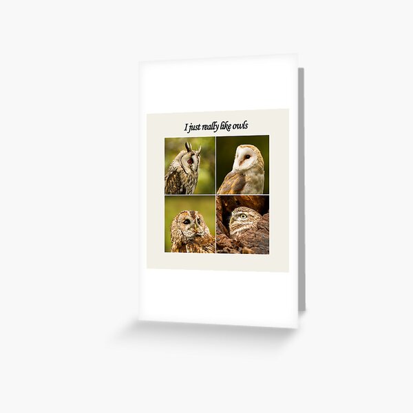 Item preview, I Just Really Like Owls designed and sold by JStanley19.