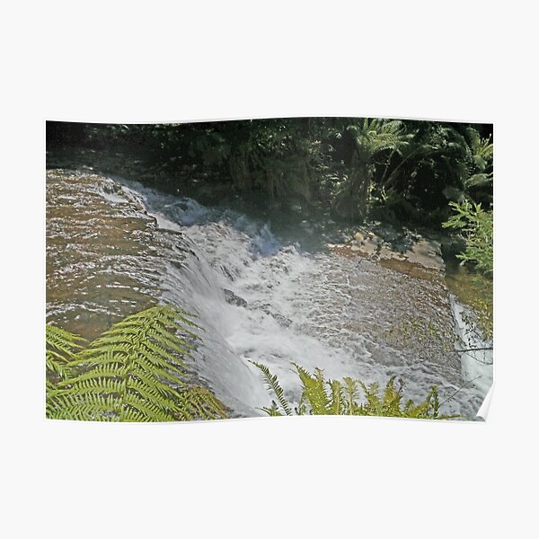 Liffey Falls, (first cascade), Tasmania, Australia Poster