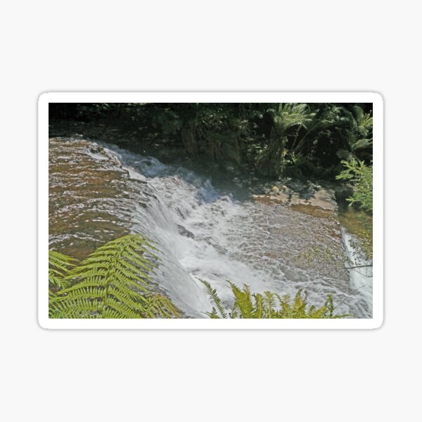 Liffey Falls, (first cascade), Tasmania, Australia Sticker