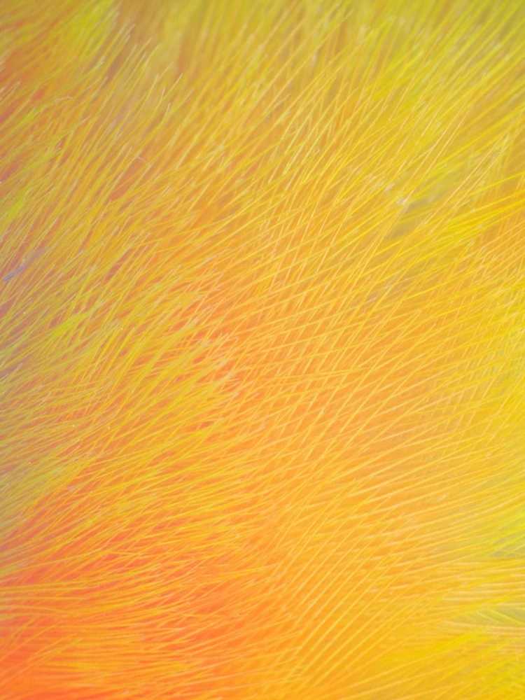 Thumbnail 4 of 4, iPhone Case, Colorful Feather Pattern designed and sold by JTS STORE.