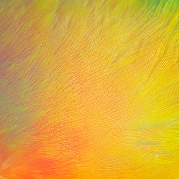 Artwork thumbnail, Colorful Feather Pattern by JTS STORE