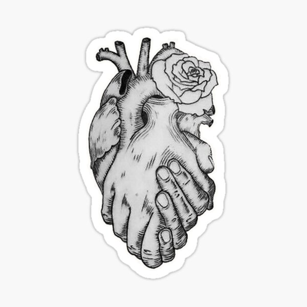 Sticker Anatomisches Herz Schwarz Und Wei C3 9f Redbubble