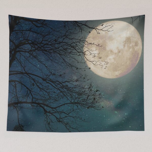 Item preview, Full Moon Night Sky designed and sold by JTS STORE.