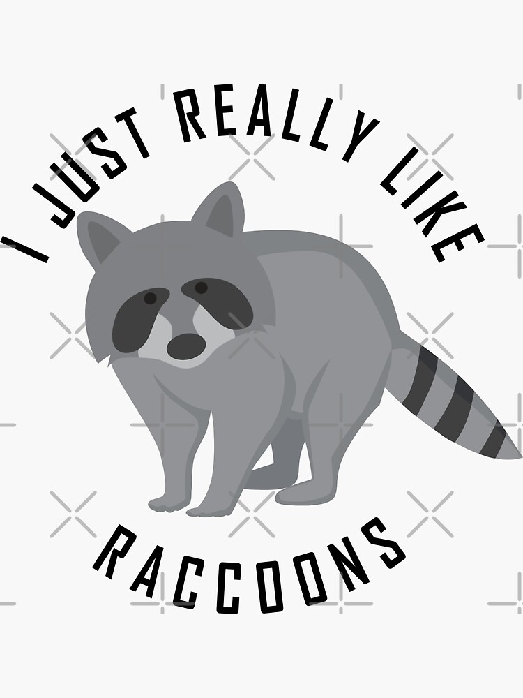 i just really like raccoons