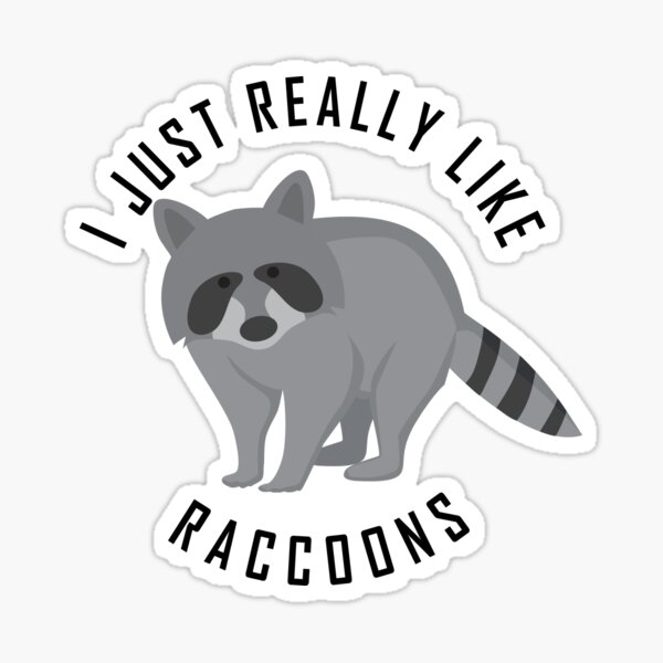 I Just Really Like Raccoons Sticker For Sale By Kimomoha Redbubble 