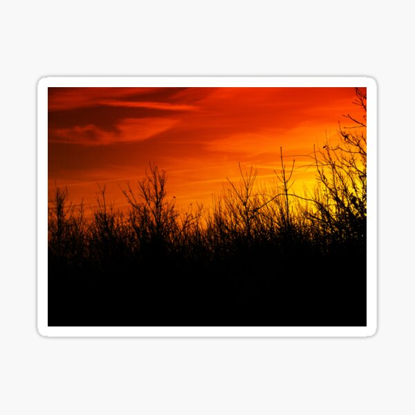 December Sunset Sticker