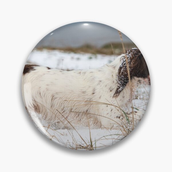 Item preview, English Springer spaniel designed and sold by RobWalkley.