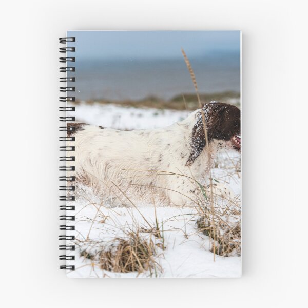 Item preview, English Springer spaniel designed and sold by RobWalkley.