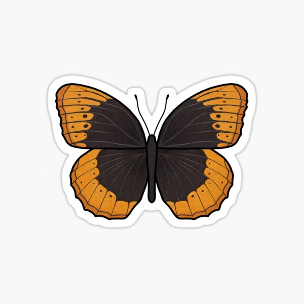 Male Diana Fritillary Sticker