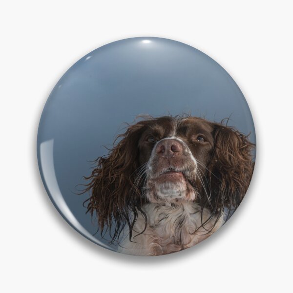 Item preview, English Springer Spaniel designed and sold by RobWalkley.