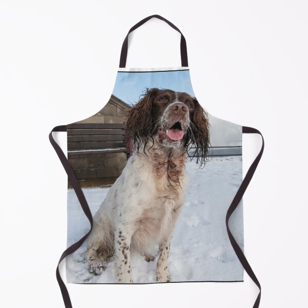Item preview, English Springer Spaniel sitting designed and sold by RobWalkley.