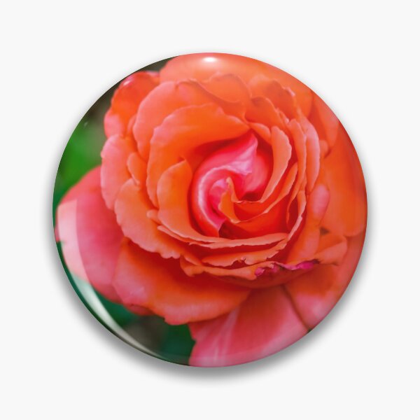 Item preview, Coral Rose Spring Bloom  designed and sold by ElizabethiB.