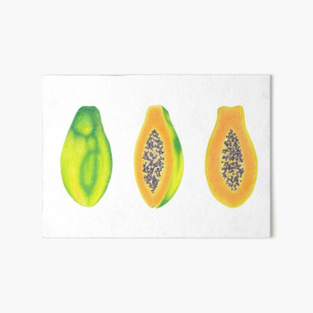 Juicy papaya studies using sennelier and mungyo gallery oil pastels :  r/Oilpastel