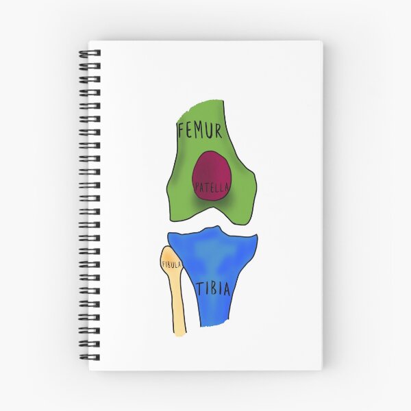 Item preview, Knee Anatomy Art | Artistic Anatomy Knee Joint | Medicine & Surgery designed and sold by Medic89.