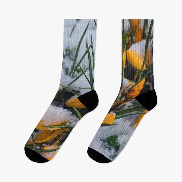 Item preview, Yellow crocuses covered in snow. designed and sold by Violaman.